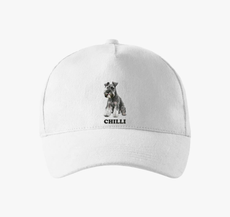 Shnauzer névvel baseball sapka