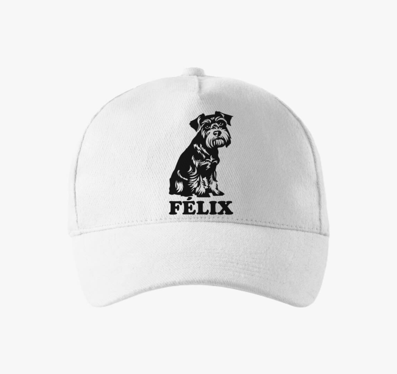 Schnauzer névvel 2 baseball sapka