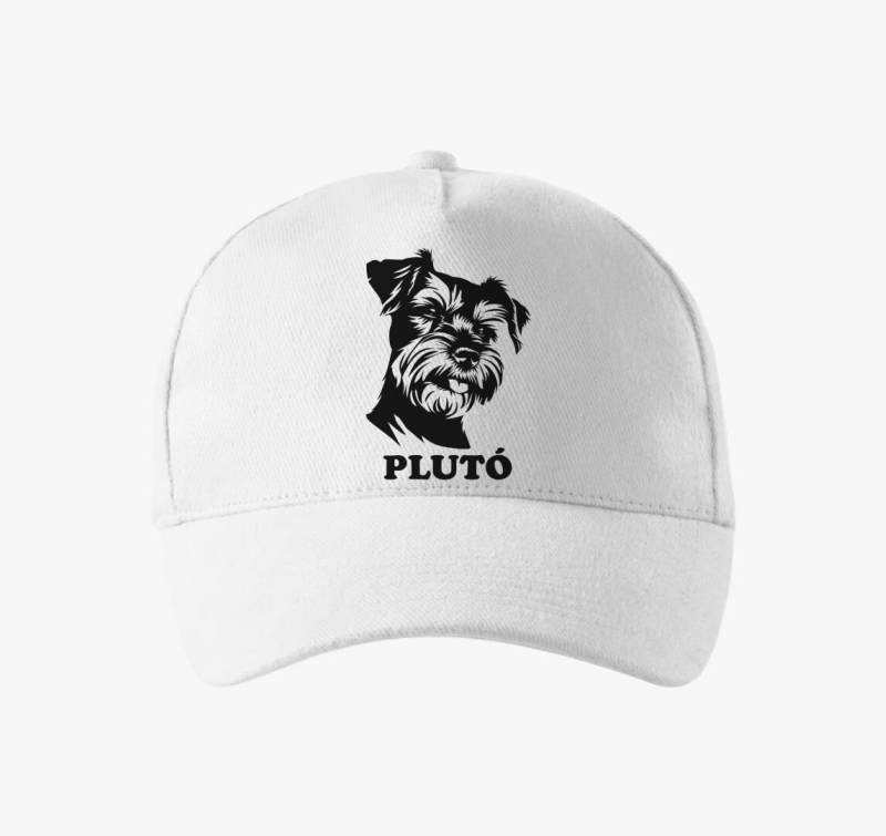 Schnauzer névvel 10 baseball sapka