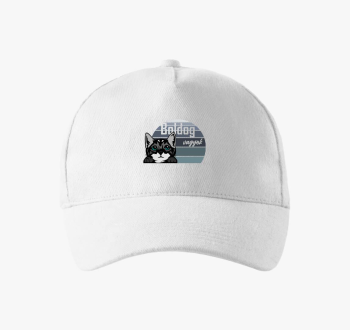Macska mintás baseball sapka