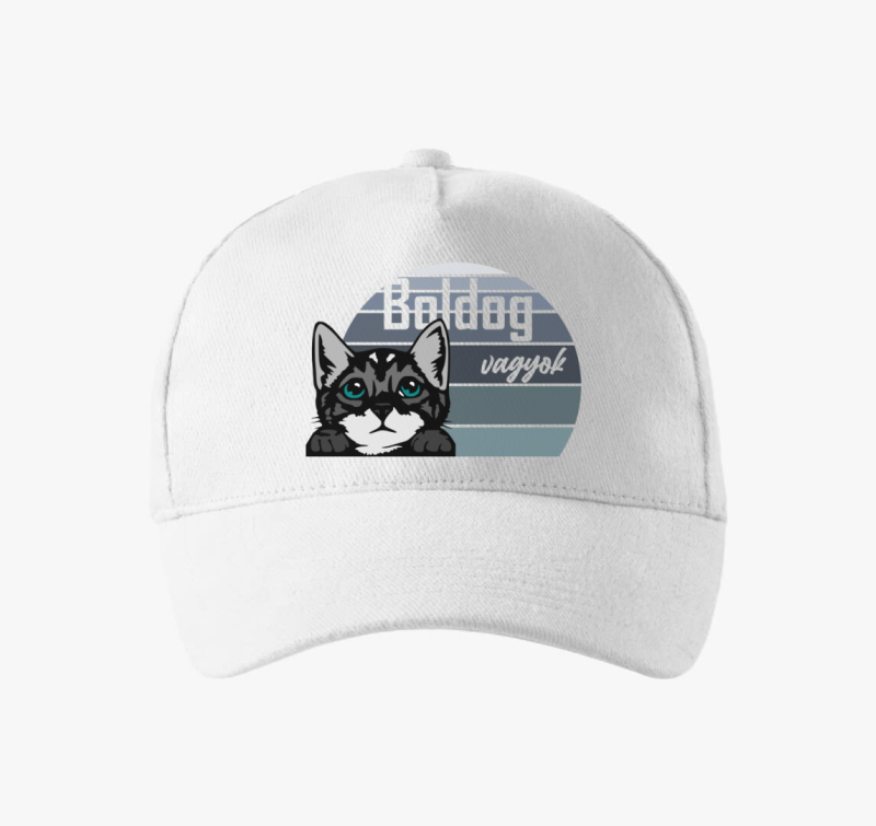 Macska mintás baseball sapka