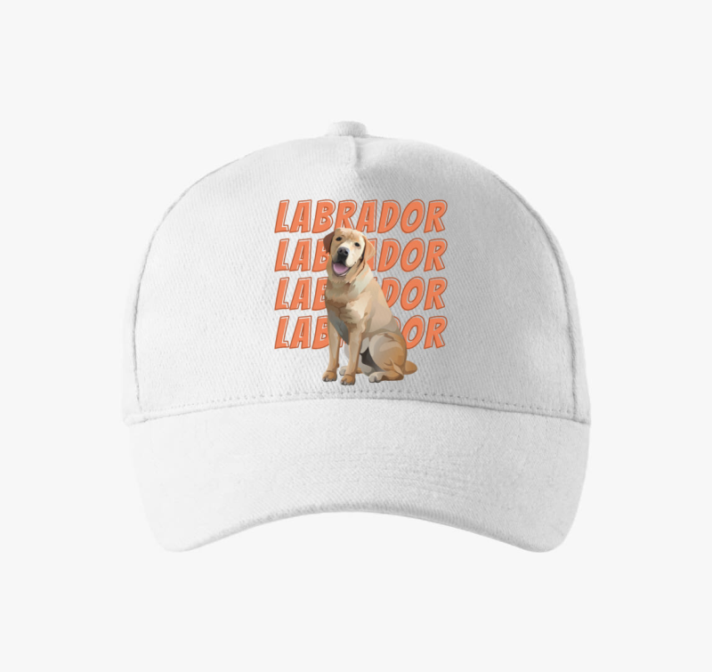 Labrador mintás baseball sapka