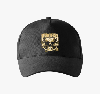 Pantera baseball sapka