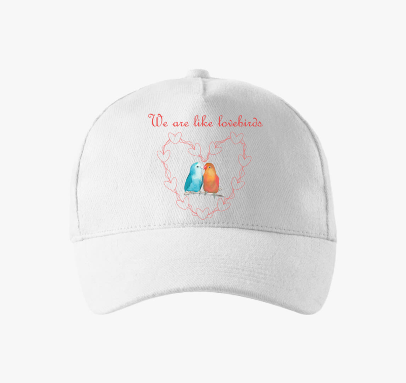 We are like lovebirds (piros) baseball sapka