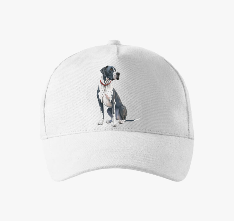 Dán dog baseball sapka