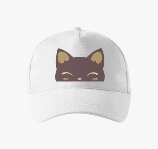 Cicaarc baseball sapka