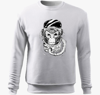 Space monkey belebúj...