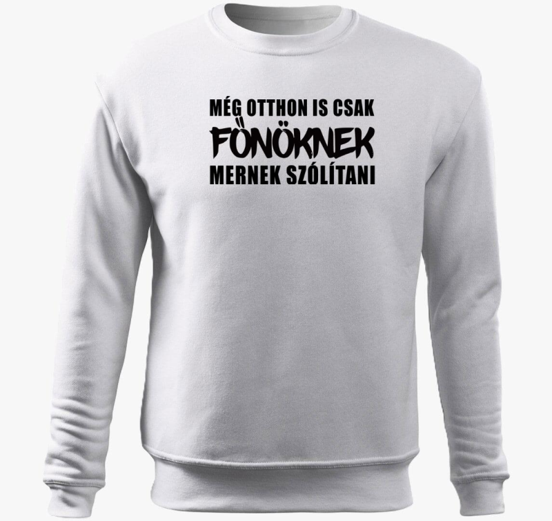 Még otthon is csak főnöknek mernek szólítani 2 belebújós pulóver