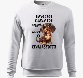 Tacsi gazdi vagyok mert kiválasztott barna kutyus belebújós pulóver