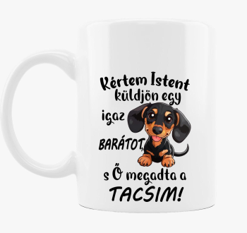 Tacsi Kértem Istent ...