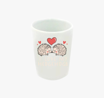 I love my hedgehogs ...