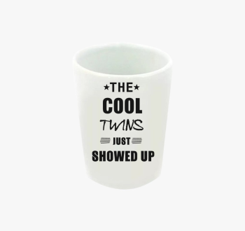 The cool twins feles