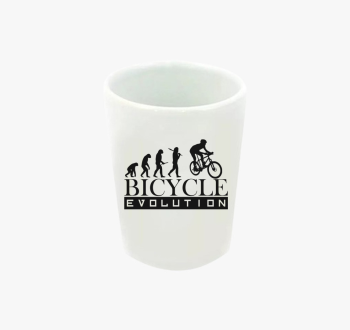 Bicycle evolution fe