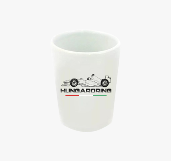 Forma 1 zászlós fele