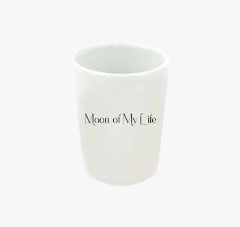 Moon of My Life verz...