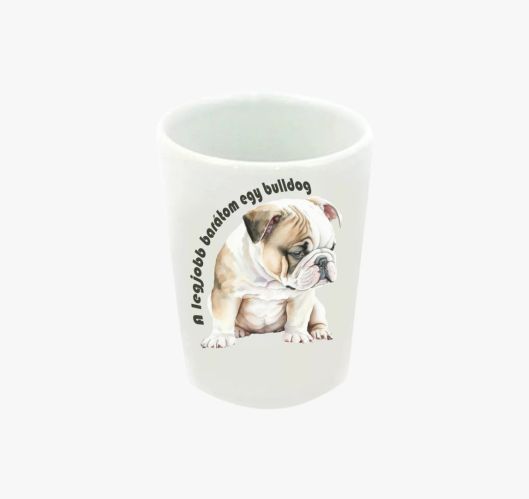 A legjobb barátom egy bulldog ...