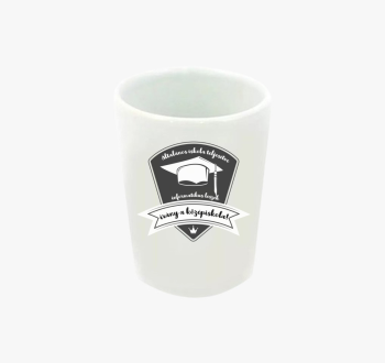 Informatikus középis...