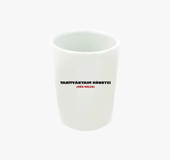 Tanítványaim könnyei...