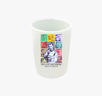 Nico Hülkenberg F1 f...