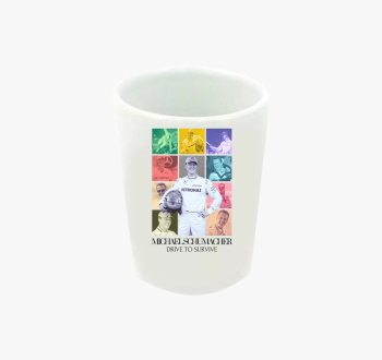 Mick Schumacher F1 f...