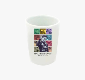 Max Verstappen F1 fe