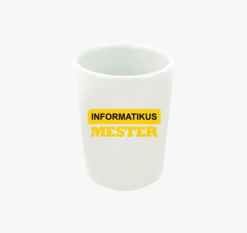 Informatikus mester ...