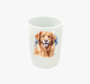 Golden retriever fel