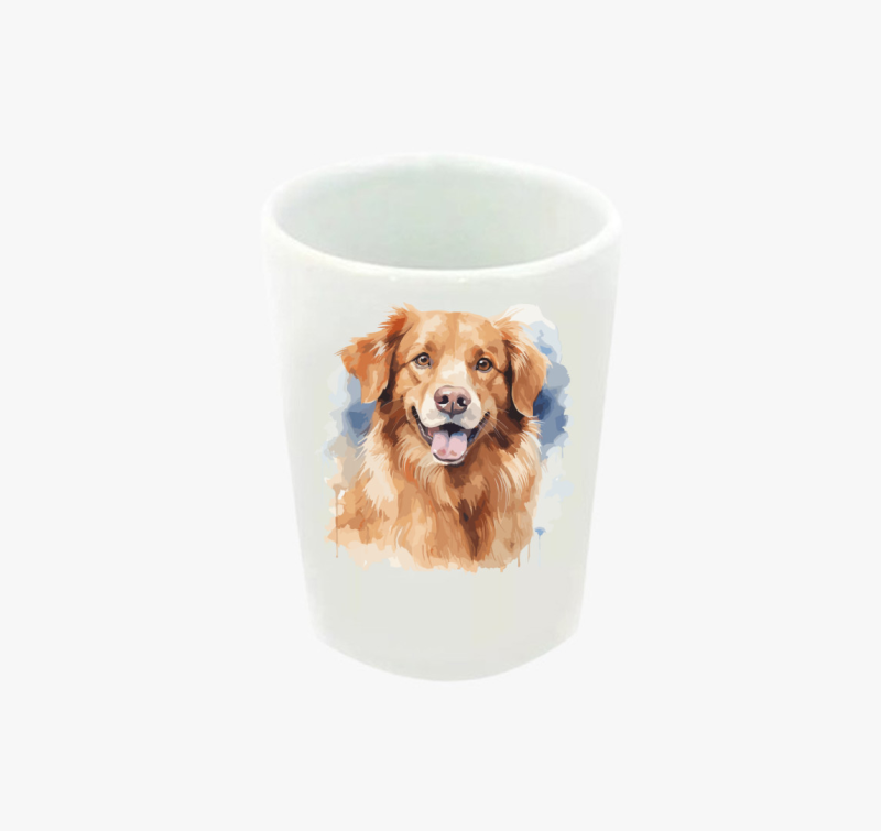Golden retriever feles pohár