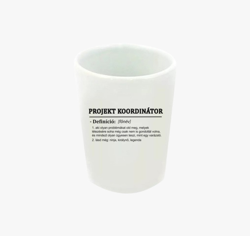 Projekt koordinátor feles pohár