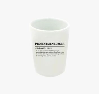 Projektmenedzser fel