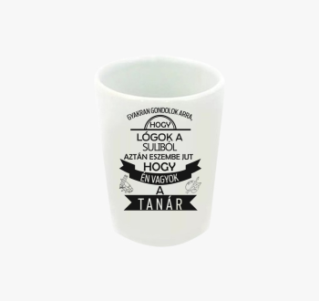 Lógós tanár feles po