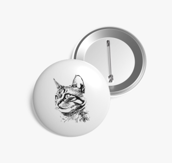 Aranyos cica 2 kitűz