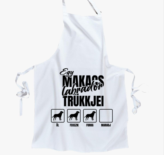 Egy makacs labrador trükkjei k...