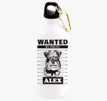 Schnauzer wanted kul