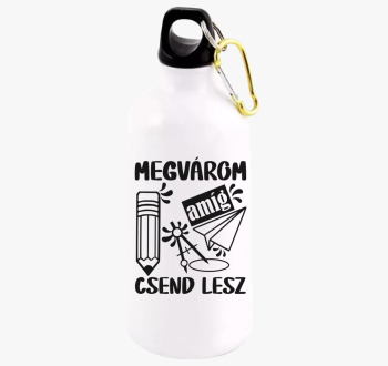 Megvárom amíg csend ...