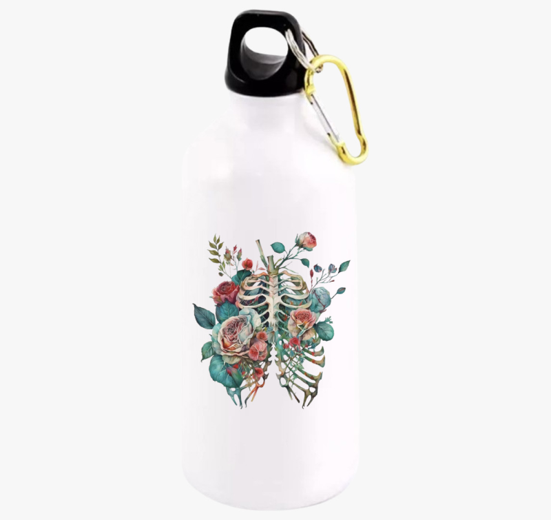 Bordák anatómia kulacs