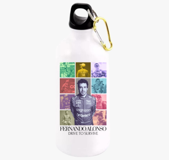 Fernando Alonso F1 k