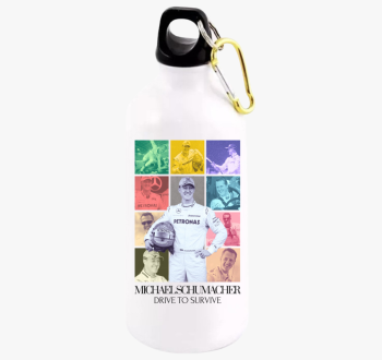 Mick Schumacher F1 k