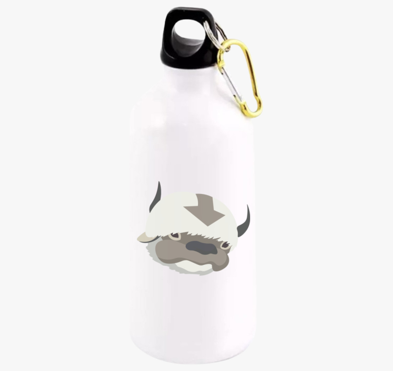 Appa kulacs