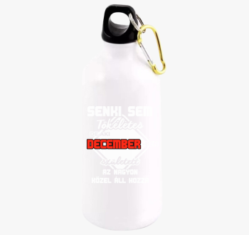 Senki sem tökéletes ...