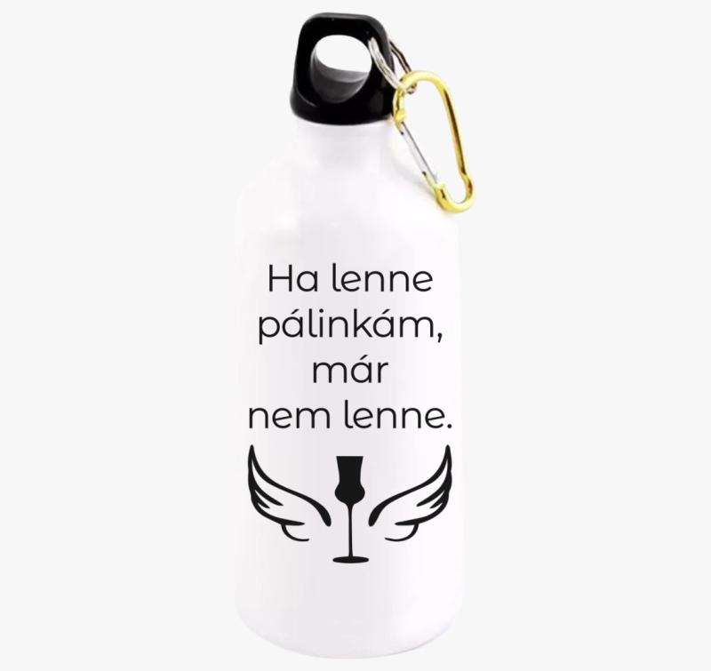 Ha lenne pálinkám kulacs
