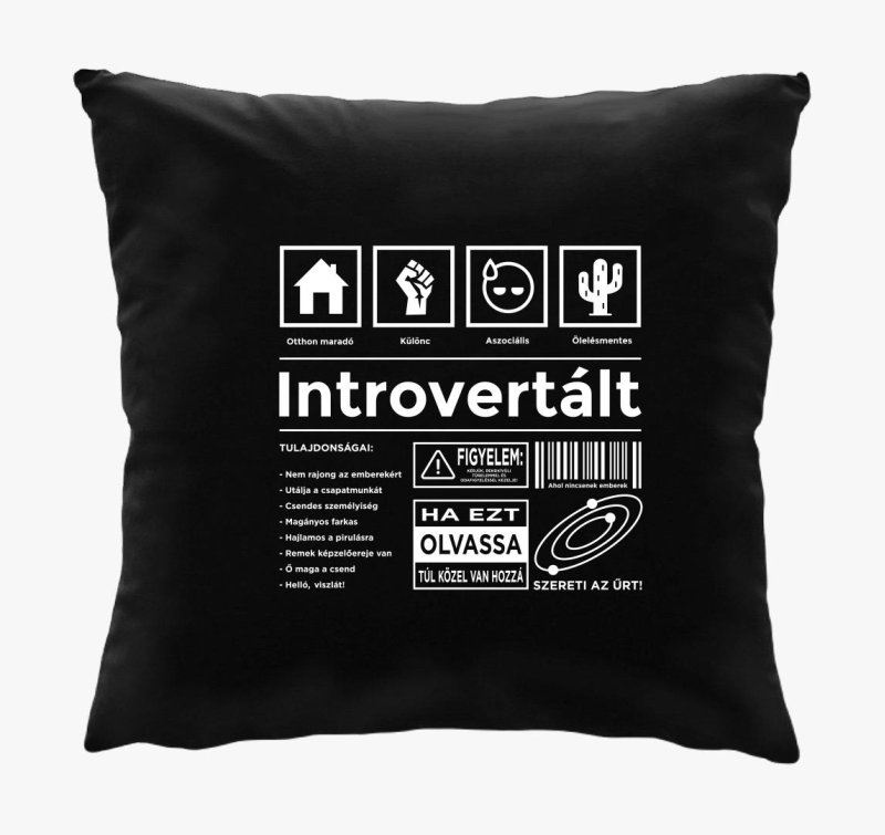 Introvertált vicces párna