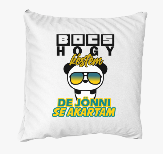 Bocs hogy késtem párna