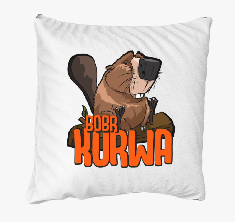 Bobr Kurwa vicces mém párna 2