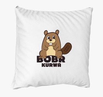 Bobr Kurwa vicces mém párna 5