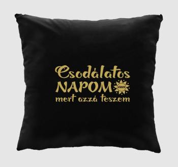 Csodálatos napom van1... párna