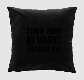 Tuddmeg, kivagy6... párna