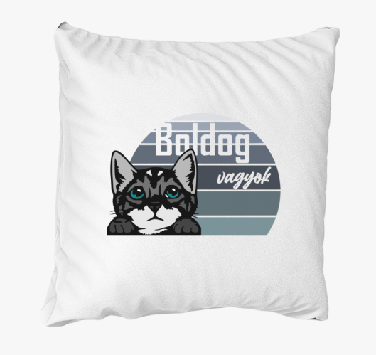 Macska mintás párna