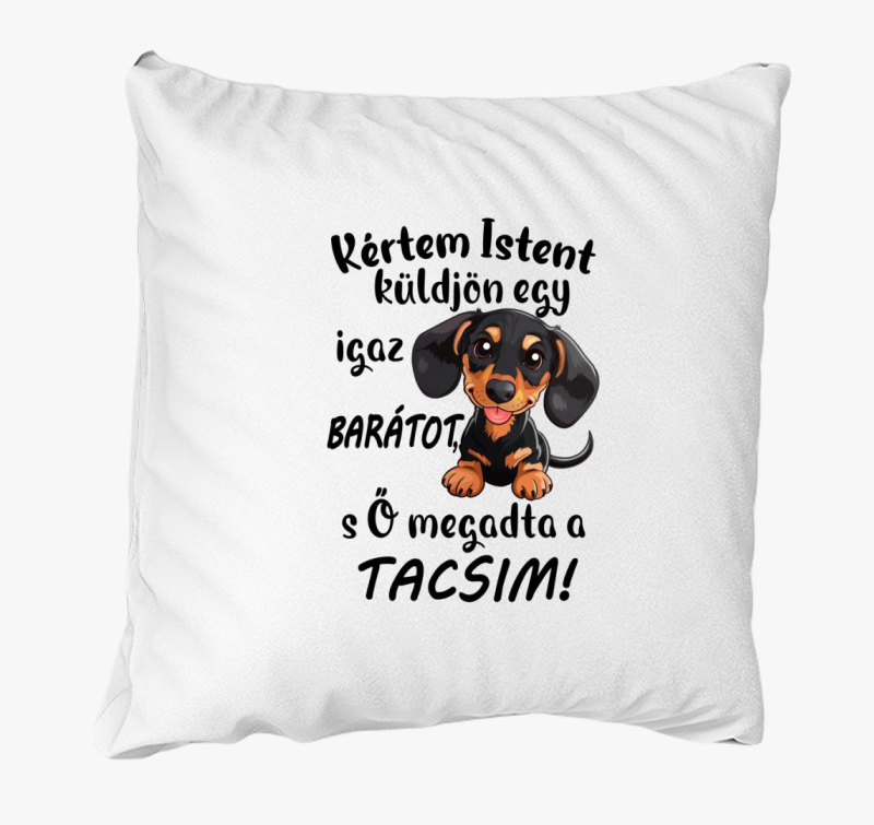 Tacsi Kértem Istent küldjön igaz barátot párna