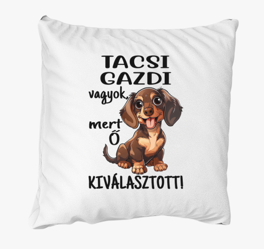 Tacsi gazdi vagyok mert kivála...